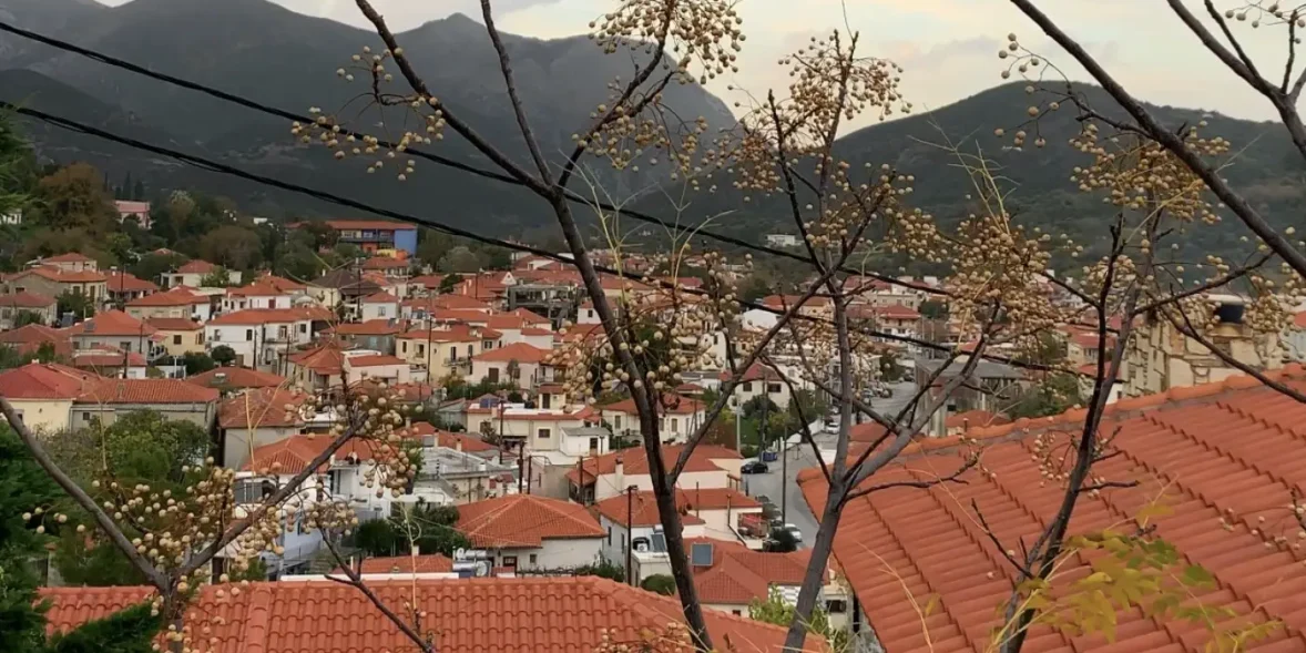 Όλα τα νέα από την Κύμη