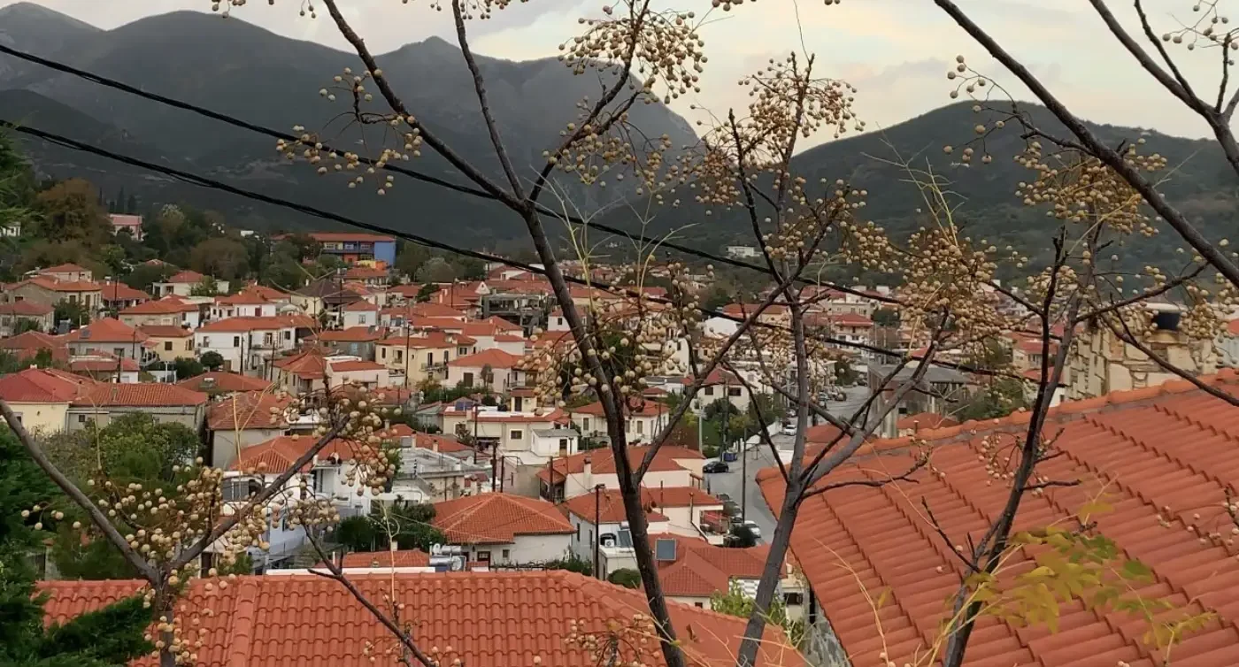 Όλα τα νέα από την Κύμη