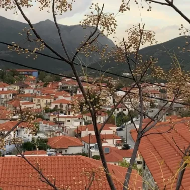 Όλα τα νέα από την Κύμη