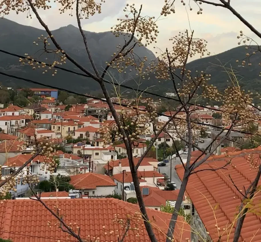 Όλα τα νέα από την Κύμη