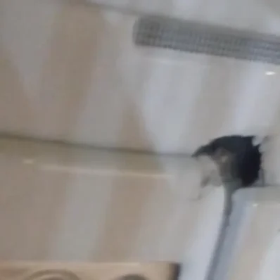 Ένα επικίνδυνο φαινόμενο απειλεί την ζωή των οδηγών