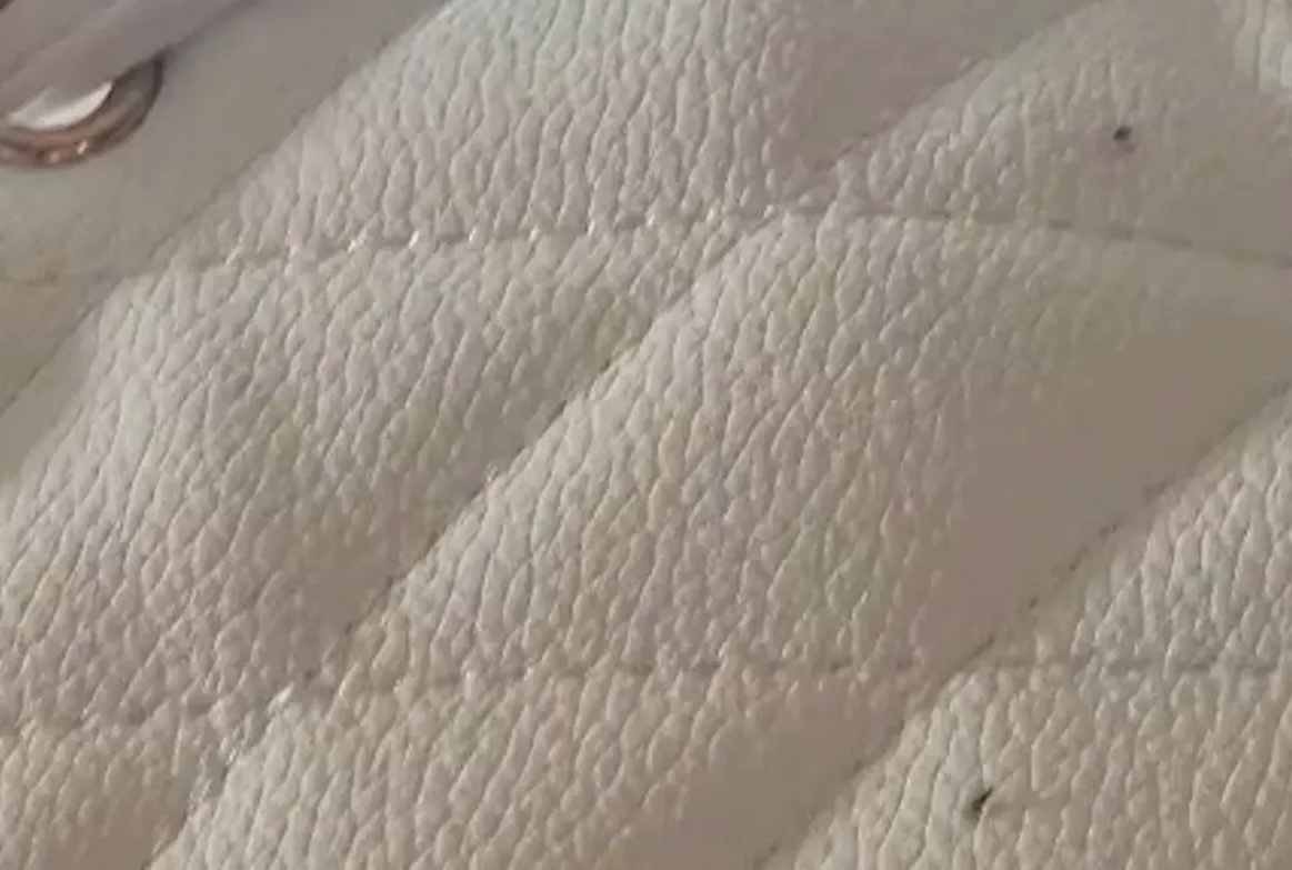 Η Χαλκίδα γέμισε από μυγάκια