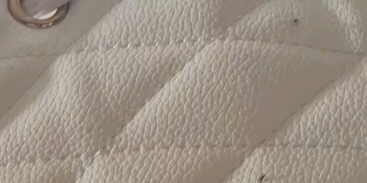 Η Χαλκίδα γέμισε από μυγάκια