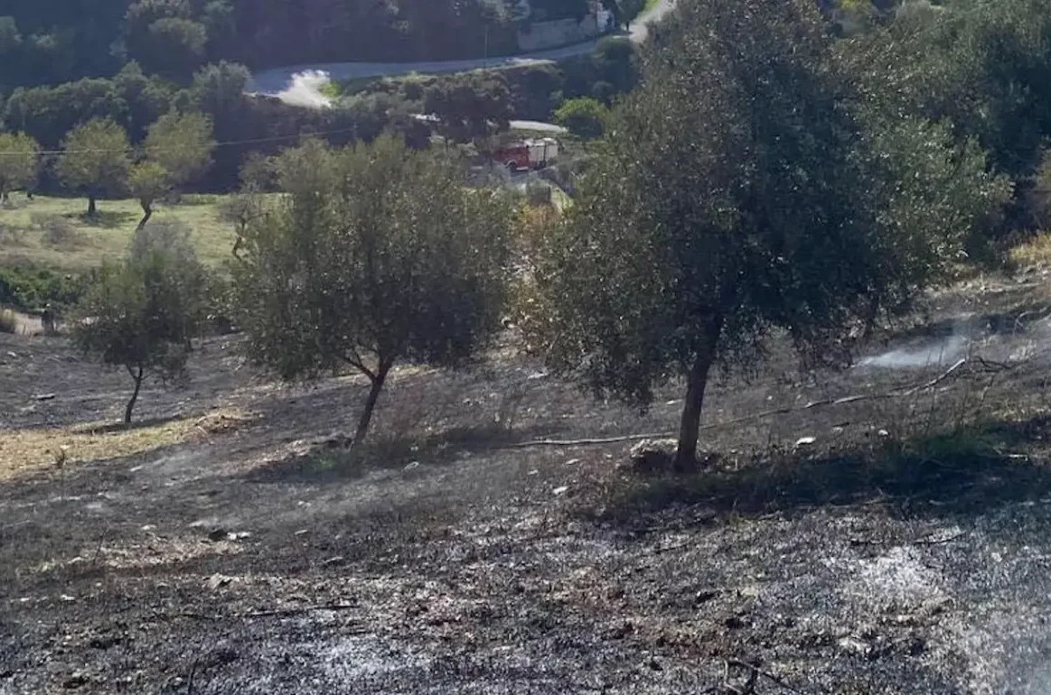 Τραγωδία στην Εύβοια με έναν άντρα να χάνει την ζωή του