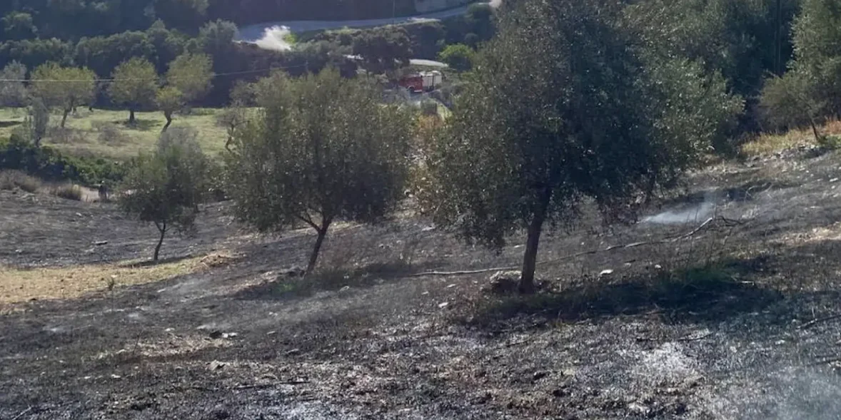 Τραγωδία στην Εύβοια με έναν άντρα να χάνει την ζωή του