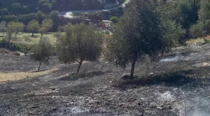 Τραγωδία στην Εύβοια με έναν άντρα να χάνει την ζωή του