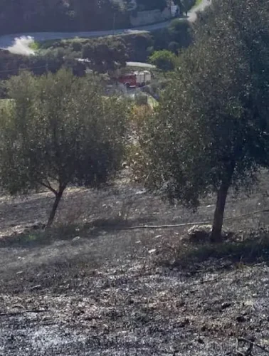 Τραγωδία στην Εύβοια με έναν άντρα να χάνει την ζωή του