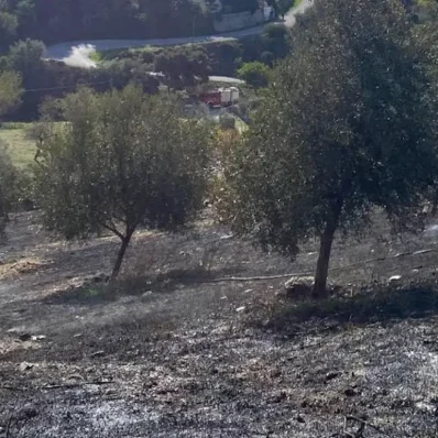 Τραγωδία στην Εύβοια με έναν άντρα να χάνει την ζωή του