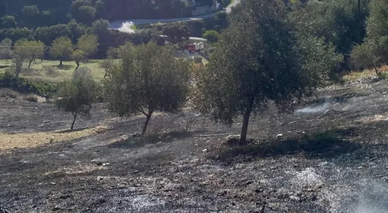Τραγωδία στην Εύβοια με έναν άντρα να χάνει την ζωή του