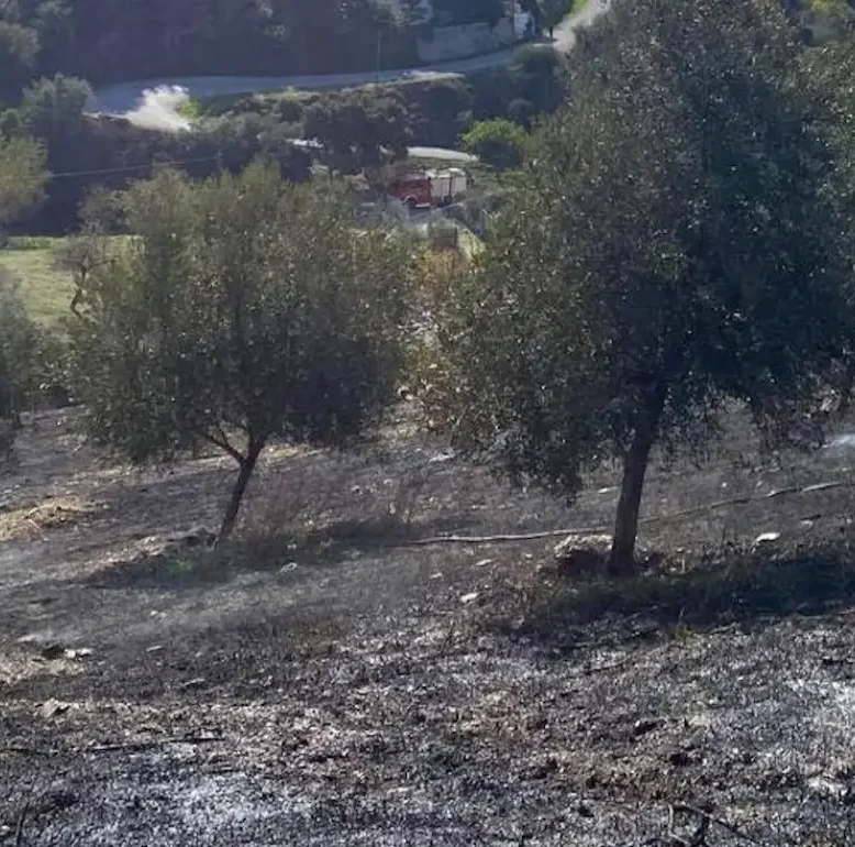 Τραγωδία στην Εύβοια με έναν άντρα να χάνει την ζωή του