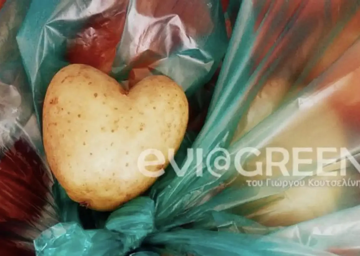 Πατάτα σε σχήμα καρδιάς