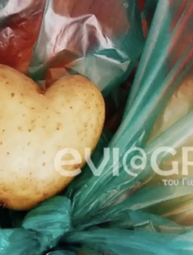 Πατάτα σε σχήμα καρδιάς