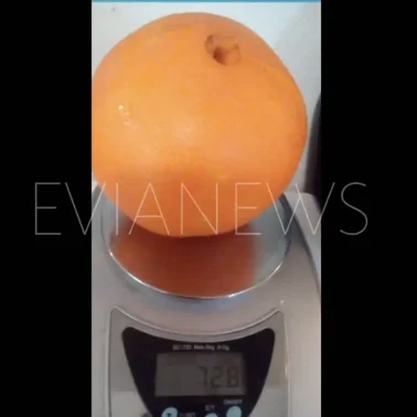 Ένα τεράστιο πορτοκάλι στην Εύβοια