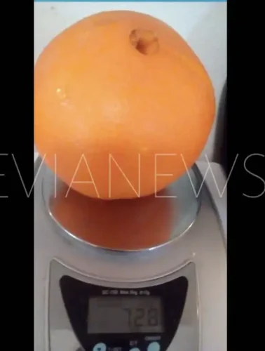 Ένα τεράστιο πορτοκάλι στην Εύβοια