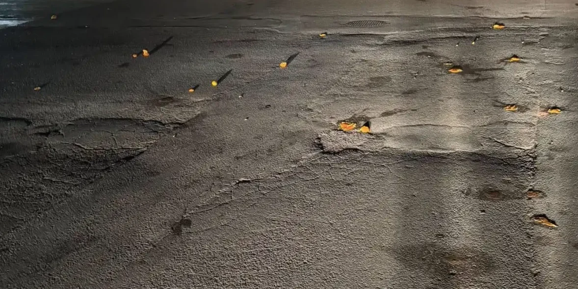 Πορτοκάλια