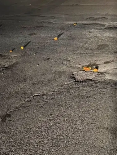 Πορτοκάλια