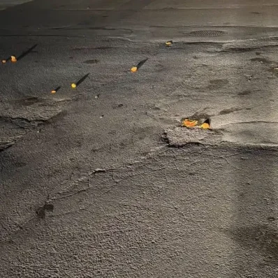 Πορτοκάλια