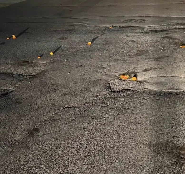 Πορτοκάλια