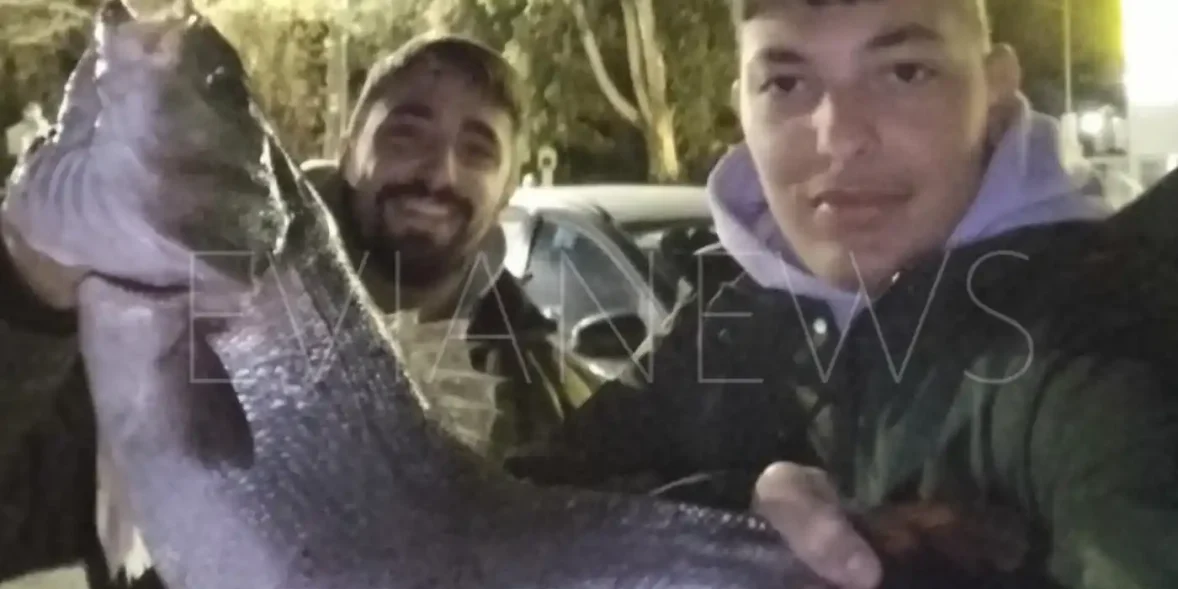 Ψάρι στη Χαλκίδα