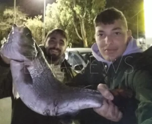 Ψάρι στη Χαλκίδα