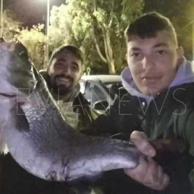 Ψάρι στη Χαλκίδα