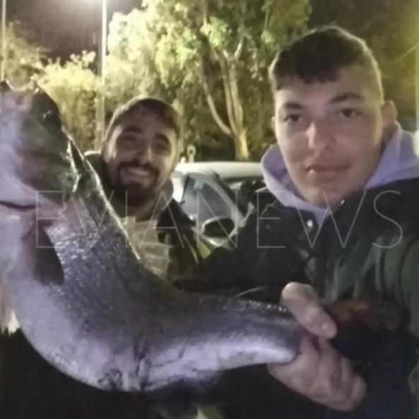 Ψάρι στη Χαλκίδα