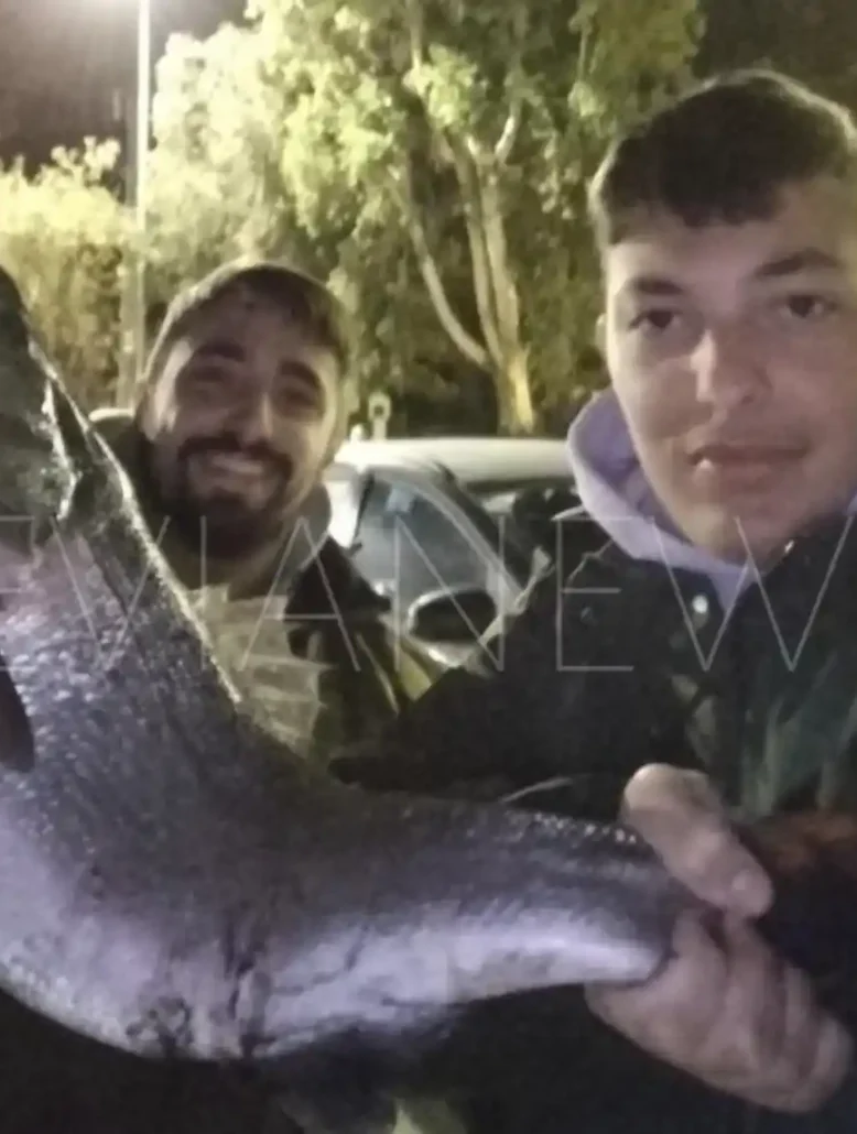 Ψάρι στη Χαλκίδα