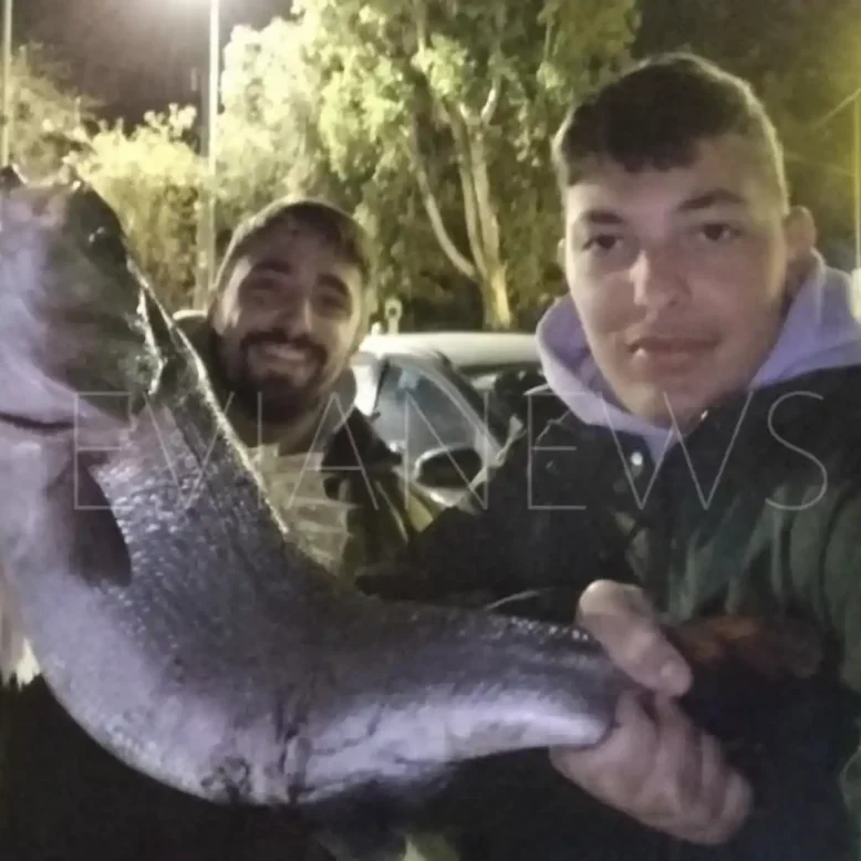 Ψάρι στη Χαλκίδα