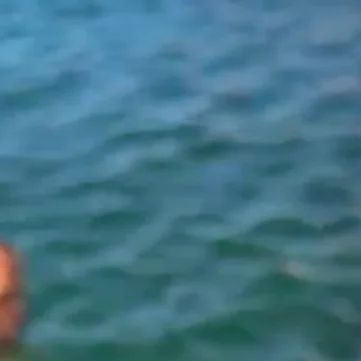 Άντρας θάλασσα παραλία Χαλκίδας