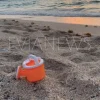 Εύβοια νέα και ειδήσεις