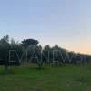 Εύβοια νέα και ειδήσεις