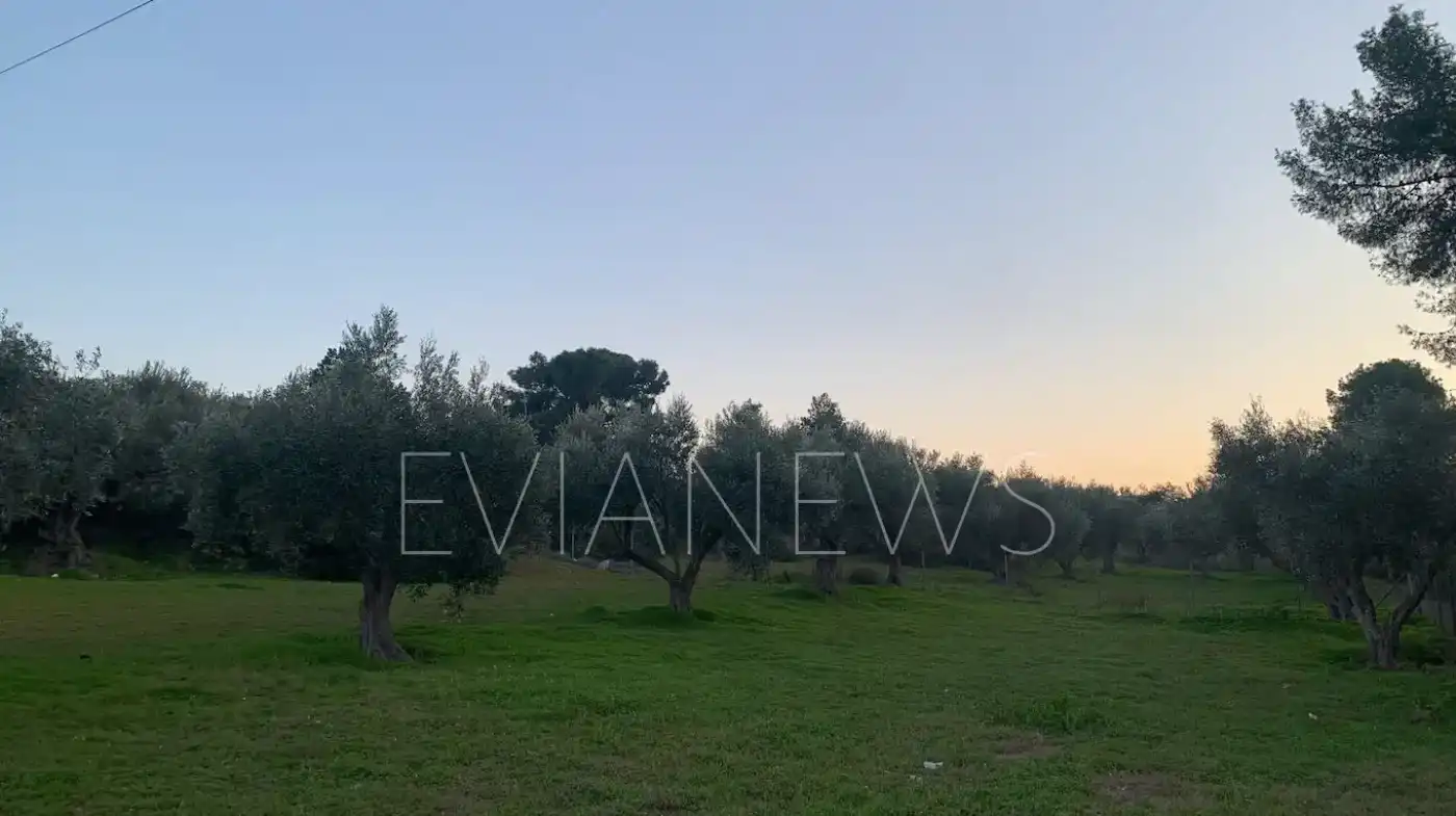 Εύβοια νέα και ειδήσεις