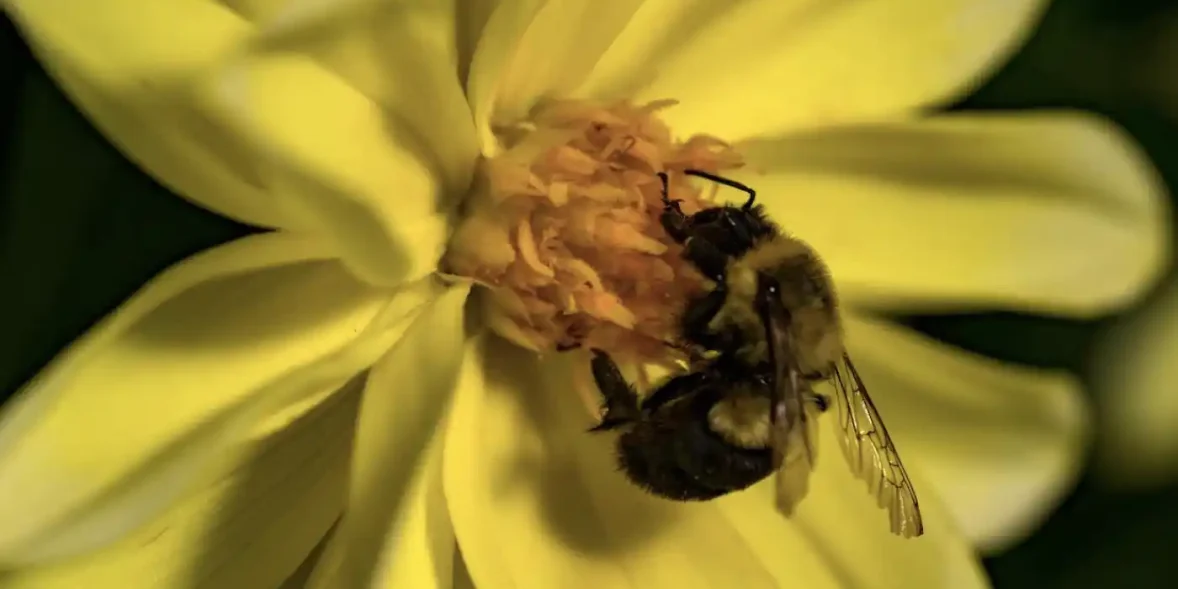 Καλό μήνα! Ήρθε ο Σεπτέμβριος