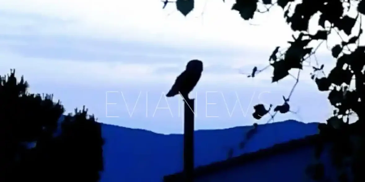 Χωριό στην Εύβοια