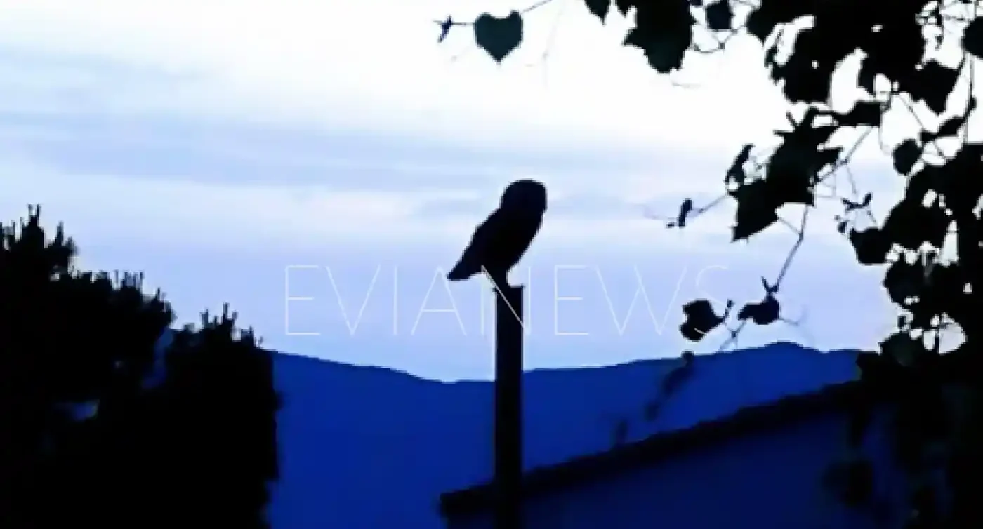 Χωριό στην Εύβοια