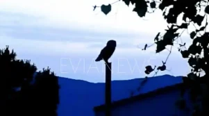 Χωριό στην Εύβοια