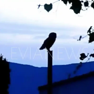 Χωριό στην Εύβοια