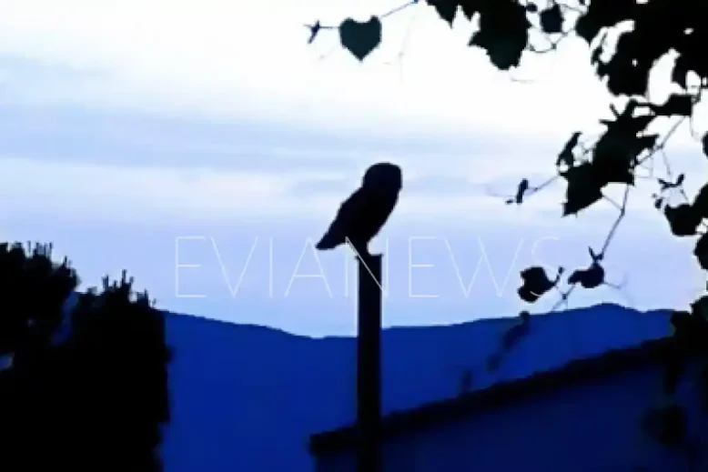 Χωριό στην Εύβοια