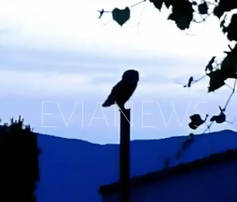 Χωριό στην Εύβοια