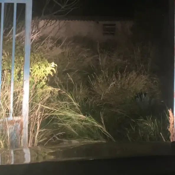 Βράδυ στην Εύβοια