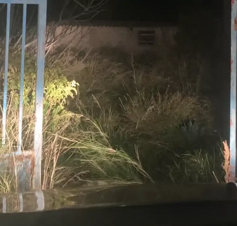 Βράδυ στην Εύβοια