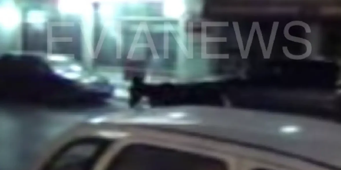 γάιδαρος στον δρόμο