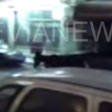 γάιδαρος στον δρόμο