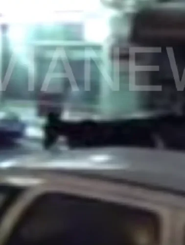 γάιδαρος στον δρόμο