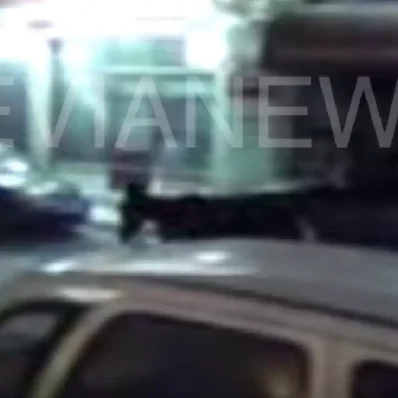 γάιδαρος στον δρόμο