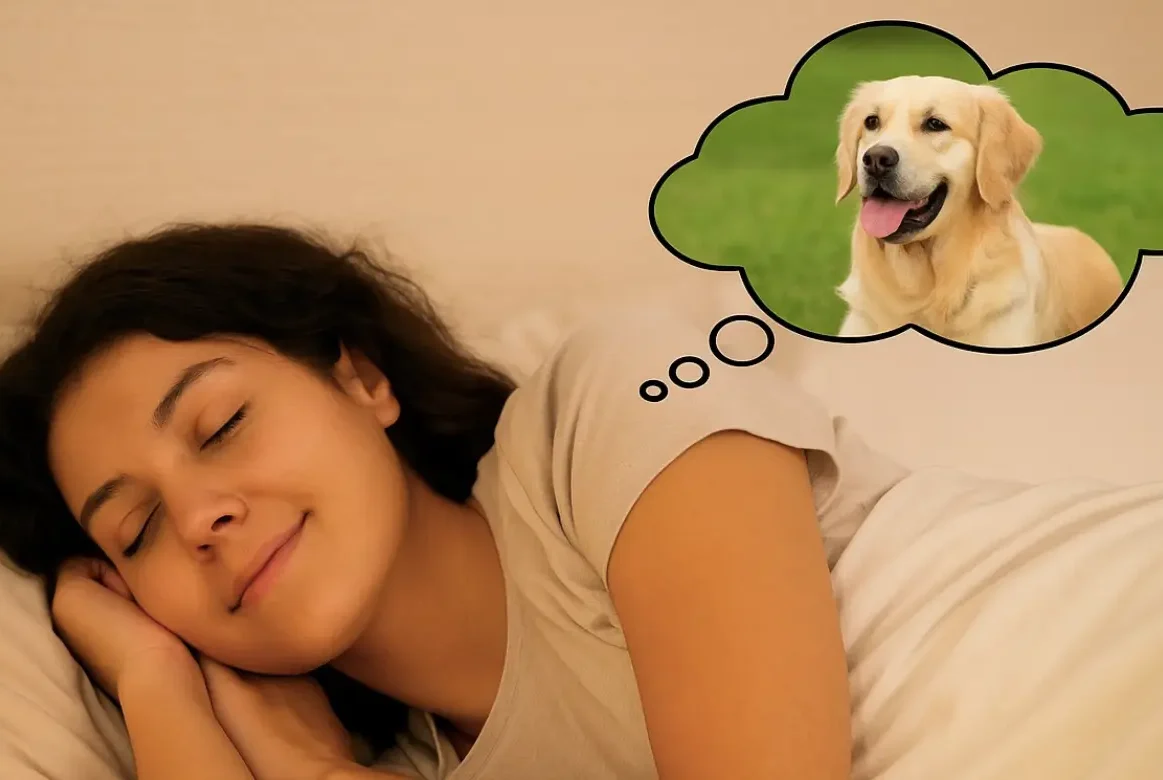 Τι σημαίνει αν δούμε στο όνειρο έναν σκύλο