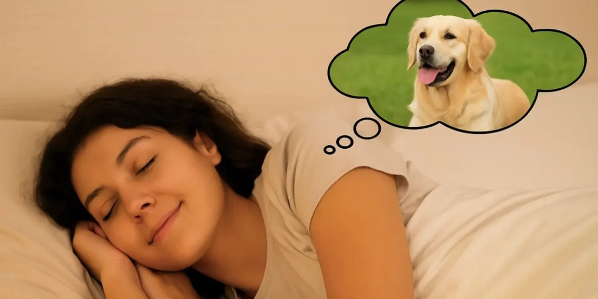 Τι σημαίνει αν δούμε στο όνειρο έναν σκύλο