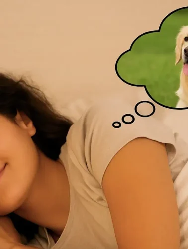 Τι σημαίνει αν δούμε στο όνειρο έναν σκύλο