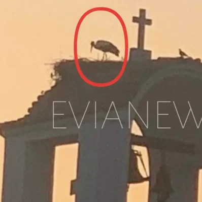 Πουλί σε καμπαναριό