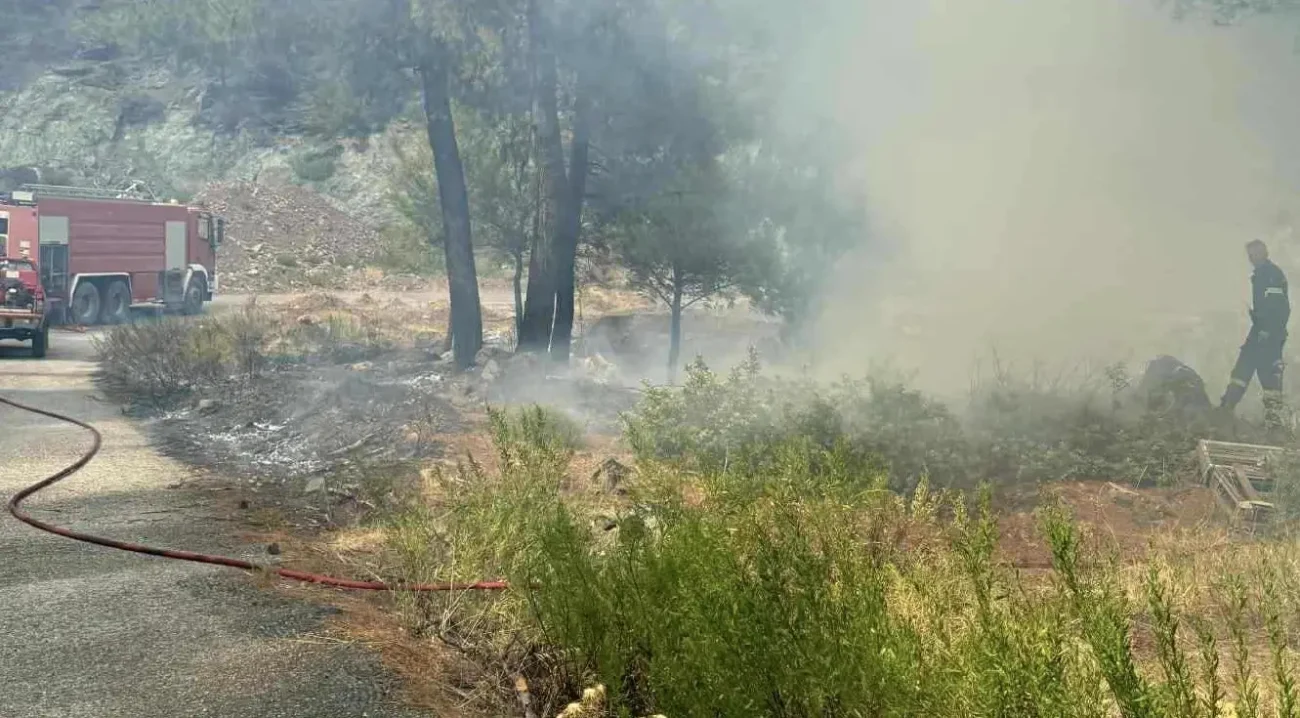 Πότε επιτρέπονται οι φωτιές στα χωράφια